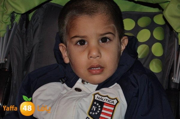 tree light 1208 (75).JPG